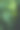 三叶草为绿色背景与三叶草。圣帕特里克节的背景，节日的象征图片下载