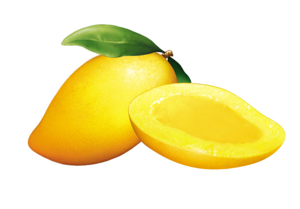 芒果插图图片下载