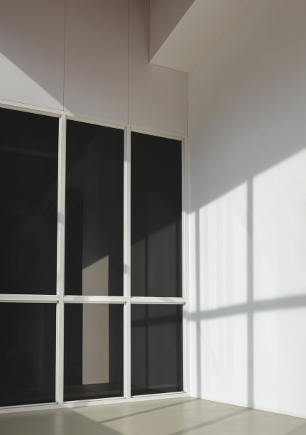 黑色有色玻璃表面的阳光和阴影与办公楼入口垂直框架的白色混凝土墙图片下载