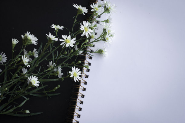 空白笔记本上的花图片下载