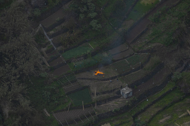 在稻田里放一堆大火，就会冒出巨大的火焰。图片下载
