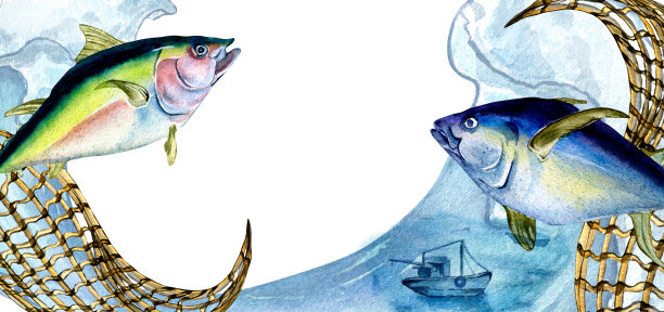 横幅上的黄色金枪鱼和渔网水彩插图孤立在白色。图片下载
