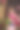 难以置信。牡丹花中一个美丽温柔的女人。女性的美。图片下载