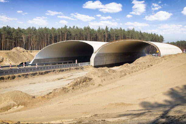 波兰S6高速公路上动物通道的建设图片下载