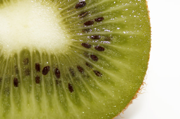 猕猴桃的特写图片下载