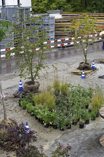 Open day at highway enclosure construction site with scenic view of plants at Zürich Schwamendingen on a rainy autumn day.图片下载