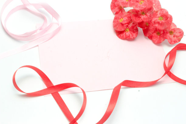 模型的邀请。婴儿粉色空白贺卡和一朵红色的荆棘冠花(大戟花)图片下载