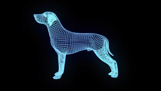 狗线框图片下载