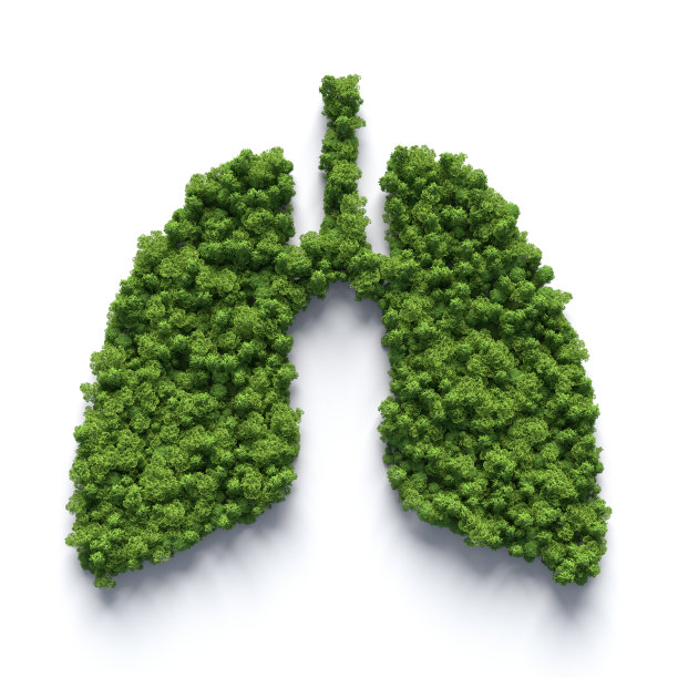 Lung-shaped森林图片下载
