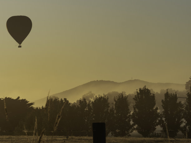 日出时，热气球飞过葡萄园上空图片下载