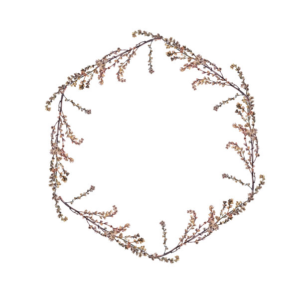 水彩花环。圆框边模板设计。分枝具干燥的野花孤立在白色背景上。手绘夏天植物。艺术与复制空间。婚礼请柬剪贴画图片下载