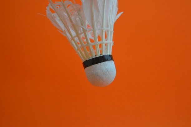 羽毛球图片下载