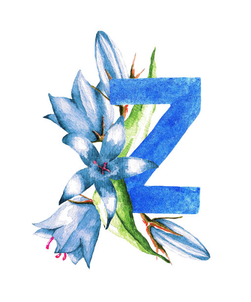 字母Z和铃铛。水彩图片下载