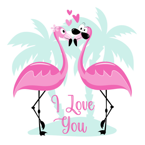 我爱你们——岛上有趣的火烈鸟图片下载