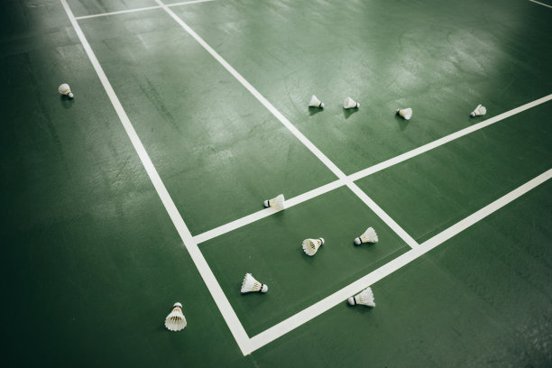 绿色羽毛球场上的室内羽毛球图片下载