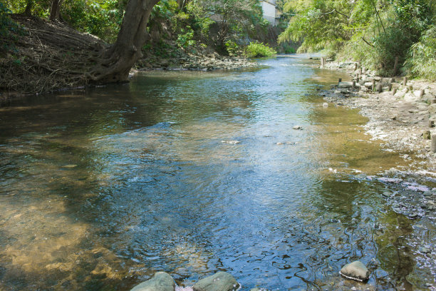 森林河图片下载
