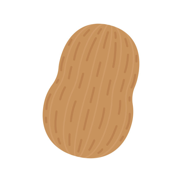 花生卡通向量。白底花生。图片下载