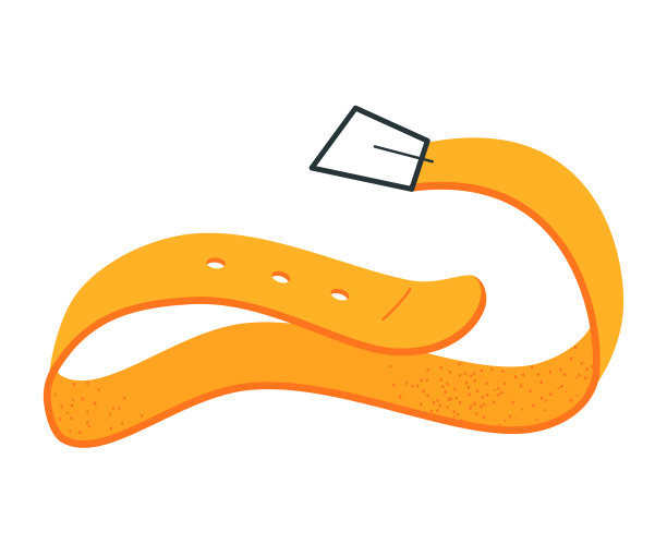 皮带-现代平面设计单一孤立对象图片下载