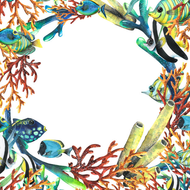 明亮美丽的珊瑚，藻类和热带亮鱼。水彩插图。热带鱼收藏的模板。适合夏季、沙滩、海边、旅游、旅游装饰设计图片下载