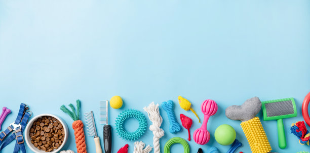 宠物护理概念，各种宠物配件上的蓝色背景，平铺图片下载