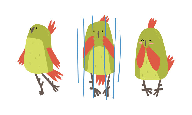 有趣的鹦鹉坐在笼子里跳舞图片下载