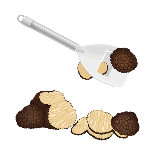 用切片刀制备松露菌类图片下载