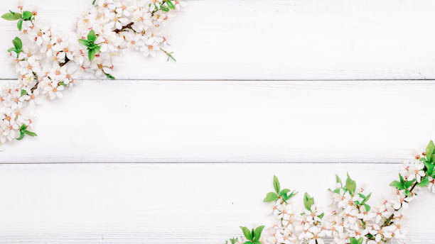 樱桃树开花。四月的花香自然和春天的樱花盛开在木制背景。3月8日的横幅，快乐的复活节与地方的文本。春天的概念。前视图。平的。图片下载