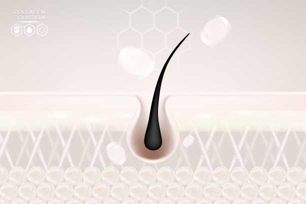 透明质酸头发和皮肤解决方案广告，白色胶原蛋白血清滴皮肤细胞与化妆品广告背景准备使用，插图向量。图片下载