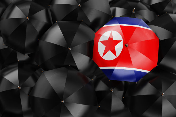 黑色雨伞中有朝鲜国旗的雨伞，3D渲染图片下载