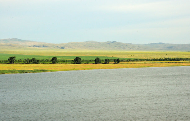 一个大湖边的几棵低矮的灌木，在夏日的群山映衬下。图片下载