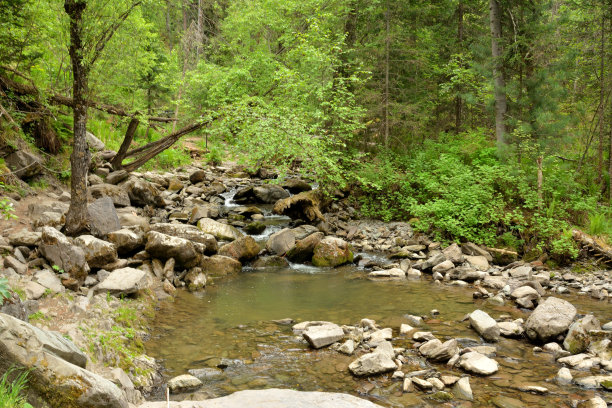在夏天的清晨森林里，一条浅浅的河流河床上的瀑布层层叠叠，河岸布满岩石。图片下载