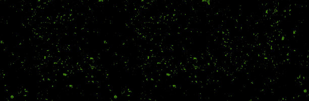 绿色的狂欢节彩纸在黑色的背景上闪闪发光图片下载