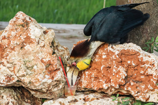 塑料垃圾图片下载