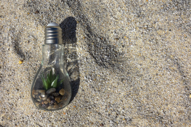 沙子上有一个灯泡，里面有植物和绿色植物。图片下载