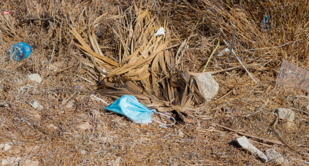 自然界中的垃圾概念。塑料碎片散落在环境中。环境污染概念。保护自然免受塑料侵害。图片下载