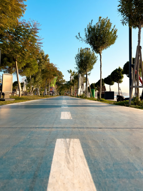 阳光明媚的早晨，海边公园里的自行车道图片下载