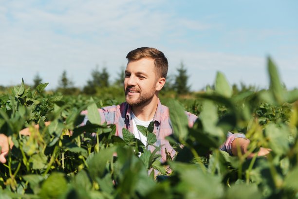 一个快乐的年轻农民检查大豆种植园的肖像。农业产业图片下载