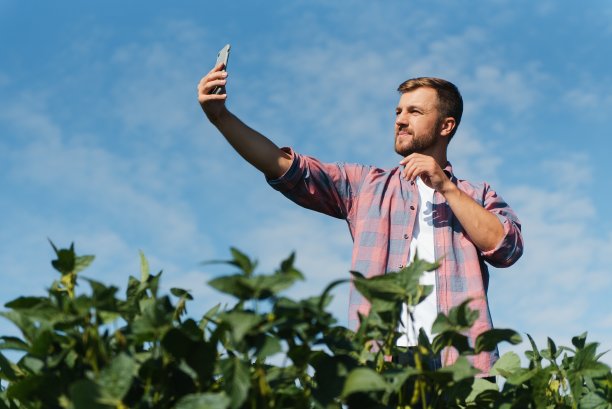 农民在大豆种植园拍照。质量控制。农学家的工作。巴西的农场。图片下载
