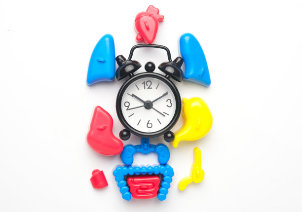 人体器官教育图片下载