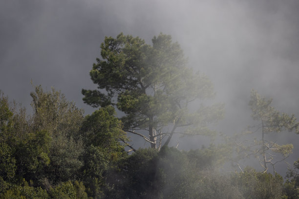 神秘的雾越过山脊，带来史诗般的氛围。图片下载