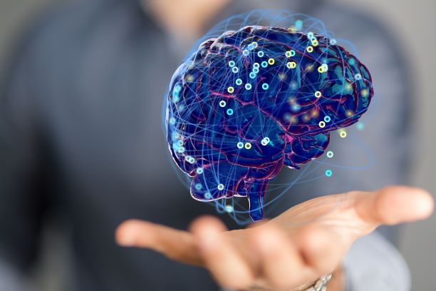 人呈现三维渲染的人脑-智商测试和人工智能的概念图片下载