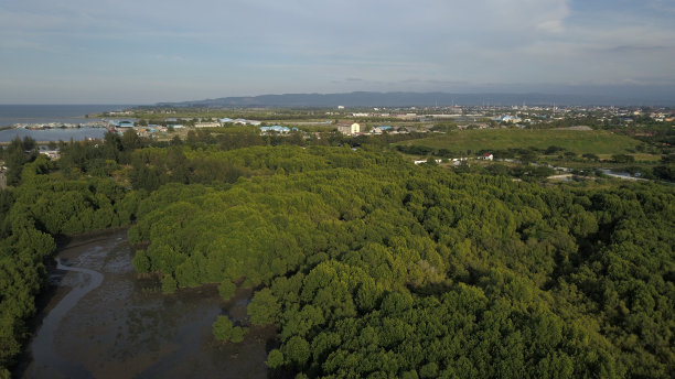 城市绿化带图片下载