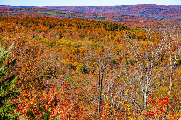 秋天的颜色图片下载