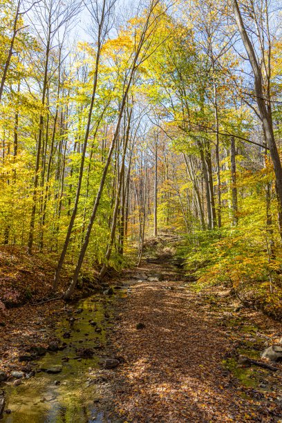 秋天的颜色图片下载