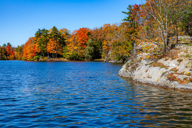 秋天的颜色图片下载