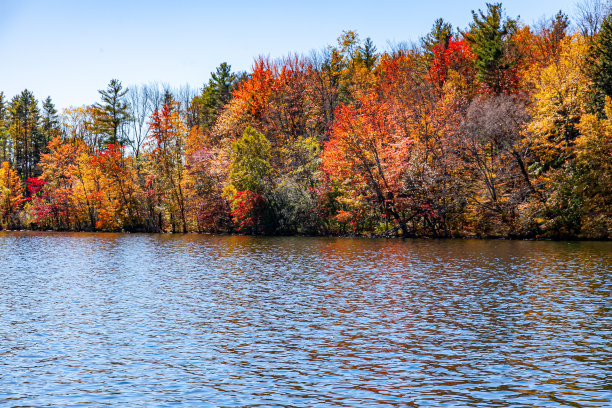 秋天的颜色图片下载