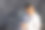 男性坐在长凳上看手机图片下载