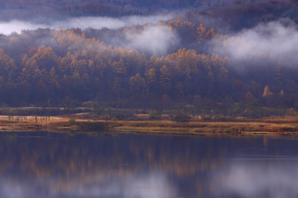 黎明与秋叶之湖图片下载