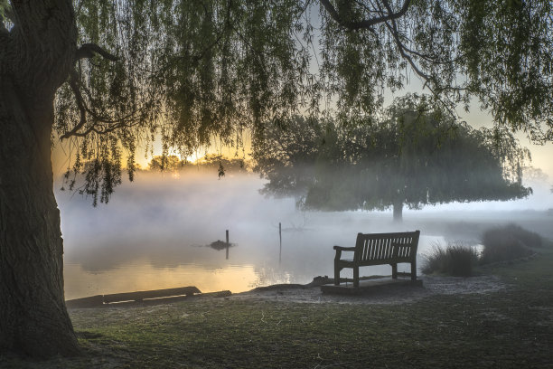 徘徊在雾图片下载
