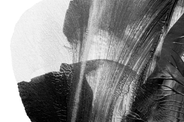 黑白抽象丙烯绘画色彩纹理在白纸背景上采用罗夏墨渍法图片下载